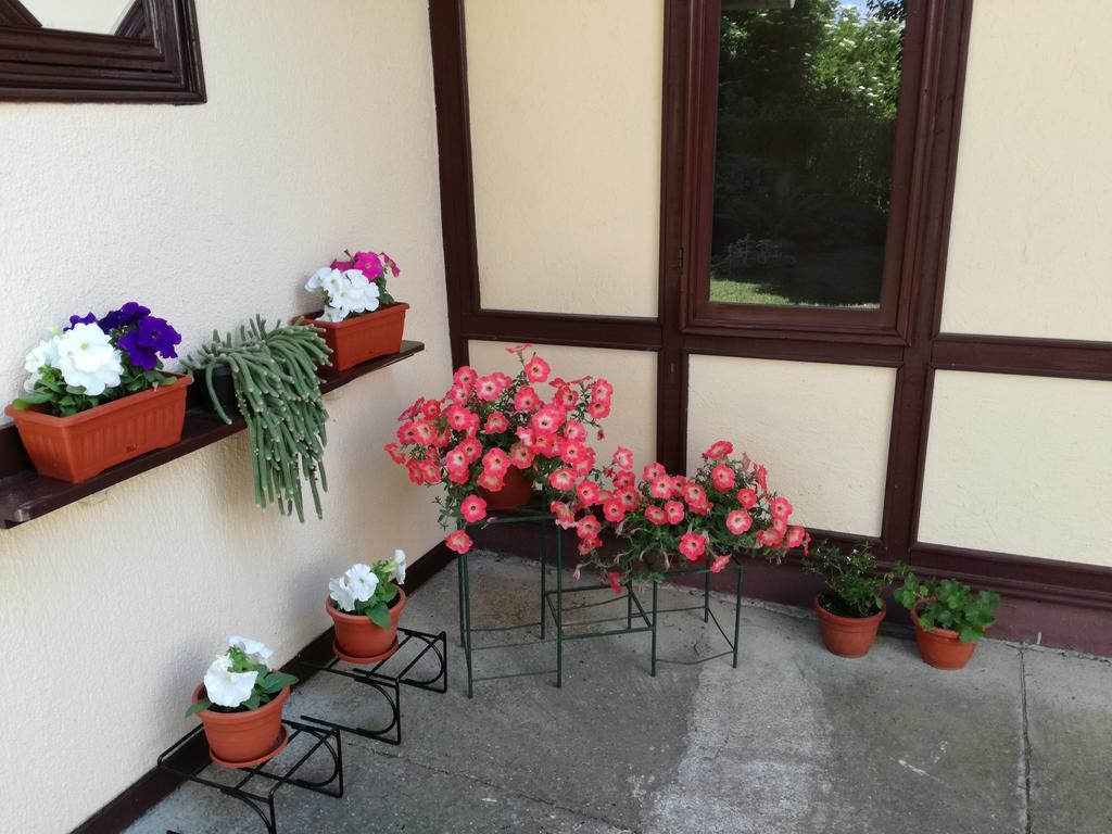 Stara Breza 1 Rooms Palić Eksteriør billede